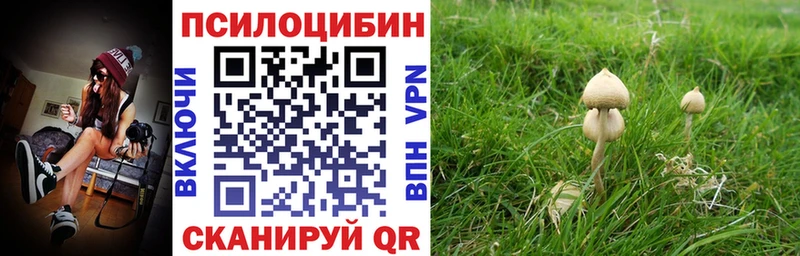 Псилоцибиновые грибы мицелий  как найти наркотики  Нолинск 